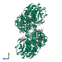 Homo hexameric assembly 1 of PDB entry 6hf6 coloured by chemically distinct molecules, side view.