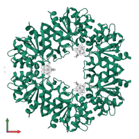 Deglycase PH1704 in PDB entry 6hf6, assembly 1, front view.