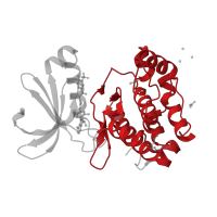 The deposited structure of PDB entry 6hjj contains 1 copy of CATH domain 1.10.510.10 (Transferase(Phosphotransferase); domain 1) in Aurora kinase A. Showing 1 copy in chain A.