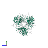 Hemagglutinin HA1 chain in PDB entry 6hjn, assembly 1, side view.