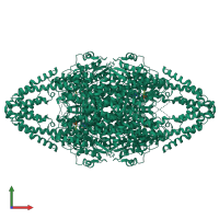 Homo tetrameric assembly 1 of PDB entry 6hqf coloured by chemically distinct molecules, front view.