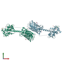 PDB entry 6hr1 coloured by chain, front view.