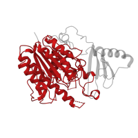 The deposited structure of PDB entry 6hr5 contains 1 copy of Pfam domain PF00884 (Sulfatase) in Bifunctional sulfatase/alpha-L-rhamnosidase. Showing 1 copy in chain A.