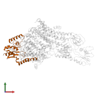 Potassium-transporting ATPase KdpC subunit in PDB entry 6hra, assembly 1, front view.