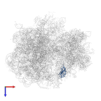 Small ribosomal subunit protein uS11 in PDB entry 6hrm, assembly 1, top view.