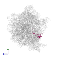 Large ribosomal subunit protein uL3 in PDB entry 6hrm, assembly 1, side view.