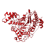 The deposited structure of PDB entry 6htg contains 4 copies of CATH domain 3.40.800.20 (Arginase; Chain A) in histone deacetylase. Showing 1 copy in chain C.