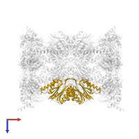 Proteasome subunit beta type-5 in PDB entry 6hvt, assembly 1, top view.