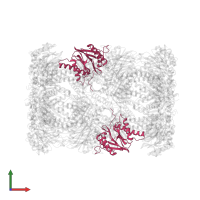 Proteasome subunit beta type-6 in PDB entry 6hvt, assembly 1, front view.