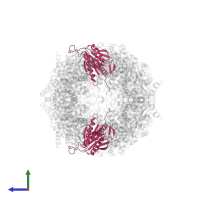 Proteasome subunit beta type-6 in PDB entry 6hvt, assembly 1, side view.