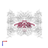 Proteasome subunit beta type-6 in PDB entry 6hvt, assembly 1, top view.