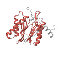 The deposited structure of PDB entry 6hw4 contains 2 copies of Pfam domain PF00227 (Proteasome subunit) in Proteasome subunit beta type-5. Showing 1 copy in chain K.