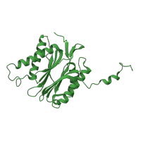 The deposited structure of PDB entry 6hw4 contains 2 copies of CATH domain 3.60.20.10 (Glutamine Phosphoribosylpyrophosphate, subunit 1, domain 1) in Proteasome subunit beta type-7. Showing 1 copy in chain M.