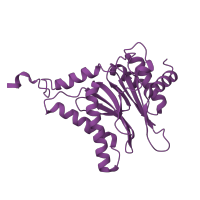 The deposited structure of PDB entry 6hw4 contains 2 copies of CATH domain 3.60.20.10 (Glutamine Phosphoribosylpyrophosphate, subunit 1, domain 1) in Proteasome subunit alpha type-3. Showing 1 copy in chain B.