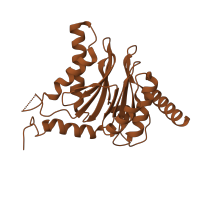 The deposited structure of PDB entry 6hw4 contains 2 copies of CATH domain 3.60.20.10 (Glutamine Phosphoribosylpyrophosphate, subunit 1, domain 1) in Proteasome subunit alpha type-5. Showing 1 copy in chain D.