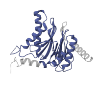 The deposited structure of PDB entry 6hw4 contains 2 copies of Pfam domain PF00227 (Proteasome subunit) in Proteasome subunit alpha type-5. Showing 1 copy in chain R.