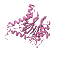 The deposited structure of PDB entry 6hw4 contains 2 copies of CATH domain 3.60.20.10 (Glutamine Phosphoribosylpyrophosphate, subunit 1, domain 1) in Proteasome subunit alpha type-6. Showing 1 copy in chain E.