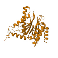 The deposited structure of PDB entry 6hw4 contains 2 copies of CATH domain 3.60.20.10 (Glutamine Phosphoribosylpyrophosphate, subunit 1, domain 1) in Probable proteasome subunit alpha type-7. Showing 1 copy in chain F.