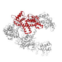 The deposited structure of PDB entry 6i1k contains 1 copy of Pfam domain PF18501 (Alpha helical recognition lobe domain) in CRISPR-associated endonuclease Cas12a. Showing 1 copy in chain A.