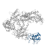 The deposited structure of PDB entry 6i1k contains 1 copy of Pfam domain PF18510 (Nuclease domain) in CRISPR-associated endonuclease Cas12a. Showing 1 copy in chain A.