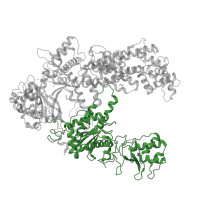 The deposited structure of PDB entry 6i1k contains 1 copy of Pfam domain PF18516 (RuvC nuclease domain) in CRISPR-associated endonuclease Cas12a. Showing 1 copy in chain A.
