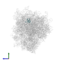 Large ribosomal subunit protein uL22 in PDB entry 6ip6, assembly 1, side view.