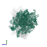 28S ribosomal RNA in PDB entry 6ip6, assembly 1, side view.