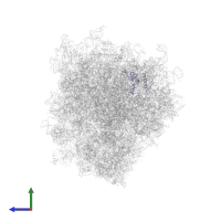 Large ribosomal subunit protein uL24 in PDB entry 6ip6, assembly 1, side view.