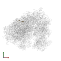 Large ribosomal subunit protein eL39 in PDB entry 6ip6, assembly 1, front view.