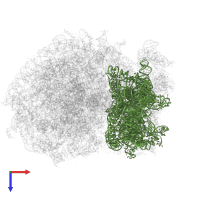 18S Ribosomal RNA in PDB entry 6ip6, assembly 1, top view.