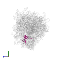 Small ribosomal subunit protein uS3 in PDB entry 6ip6, assembly 1, side view.