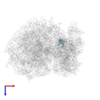 Small ribosomal subunit protein uS7 in PDB entry 6ip6, assembly 1, top view.