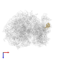 Small ribosomal subunit protein eS7 in PDB entry 6ip6, assembly 1, top view.