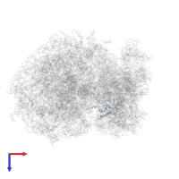 Small ribosomal subunit protein uS19 in PDB entry 6ip6, assembly 1, top view.