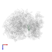 Small ribosomal subunit protein uS13 in PDB entry 6ip6, assembly 1, top view.