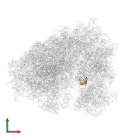 Small ribosomal subunit protein uS11 in PDB entry 6ip6, assembly 1, front view.