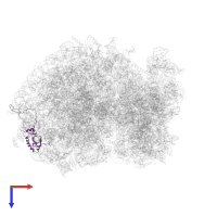 Large ribosomal subunit protein eL6 in PDB entry 6ip6, assembly 1, top view.