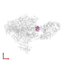 Transcription elongation factor 1 homolog in PDB entry 6ir9, assembly 1, front view.