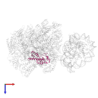 RNA polymerase Rpb4/RPC9 core domain-containing protein in PDB entry 6ir9, assembly 1, top view.