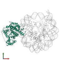 ISWI chromatin-remodeling complex ATPase ISW1 in PDB entry 6iro, assembly 1, front view.