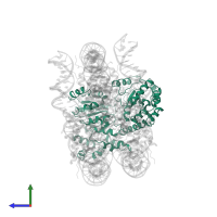 ISWI chromatin-remodeling complex ATPase ISW1 in PDB entry 6iro, assembly 1, side view.