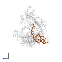 RNA (59-MER) in PDB entry 6iv6, assembly 1, side view.