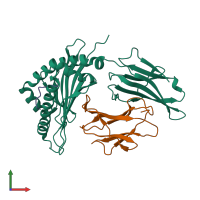 Hetero trimeric assembly 2 of PDB entry 6j2i coloured by chemically distinct molecules, front view.