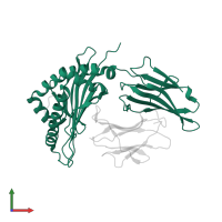 Ig-like domain-containing protein in PDB entry 6j2i, assembly 1, front view.