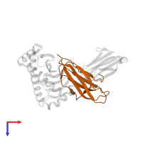 Beta-2-microglobulin in PDB entry 6j2i, assembly 1, top view.