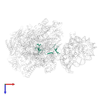 DNA-directed RNA polymerase subunit in PDB entry 6j4x, assembly 1, top view.