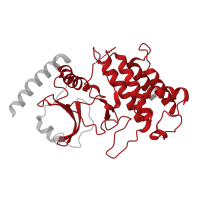 The deposited structure of PDB entry 6j5w contains 1 copy of Pfam domain PF00069 (Protein kinase domain) in Serine/threonine-protein kinase ZRK1. Showing 1 copy in chain A [auth B].