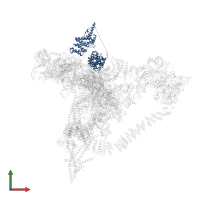 Pre-mRNA-splicing factor CWC22 in PDB entry 6j6h, assembly 1, front view.