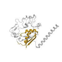 The deposited structure of PDB entry 6j6n contains 1 copy of Pfam domain PF00076 (RNA recognition motif. (a.k.a. RRM, RBD, or RNP domain)) in Pre-mRNA-splicing factor CWC2. Showing 1 copy in chain G [auth R].