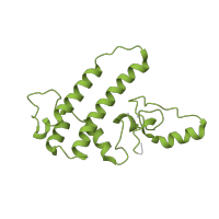 The deposited structure of PDB entry 6j6n contains 1 copy of Pfam domain PF01125 (G10 protein) in Pre-mRNA-splicing factor BUD31. Showing 1 copy in chain I [auth T].